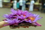 Цветы у храма зуба Будды